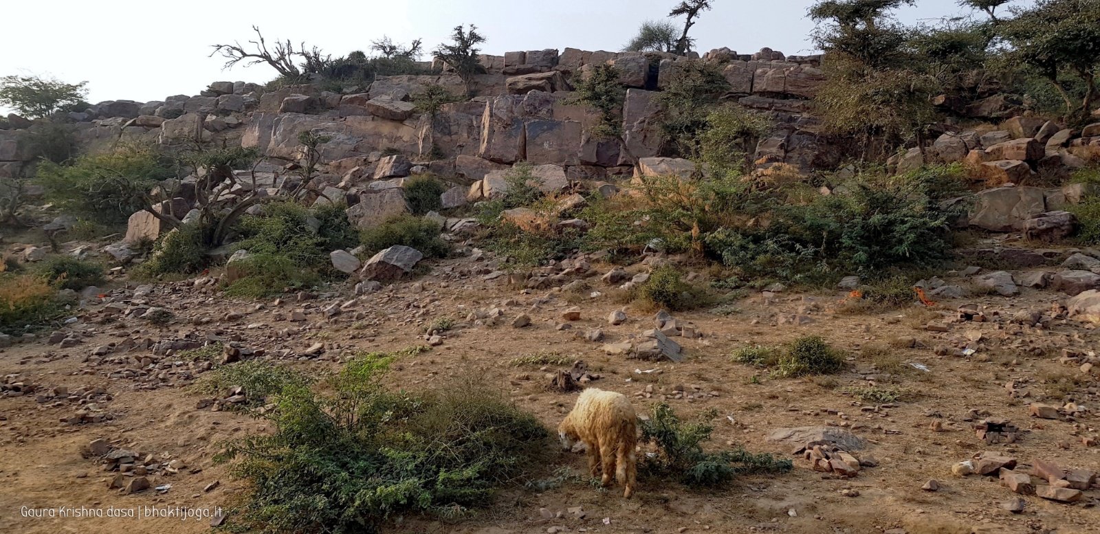  Govardhan hill. 2018.03.14